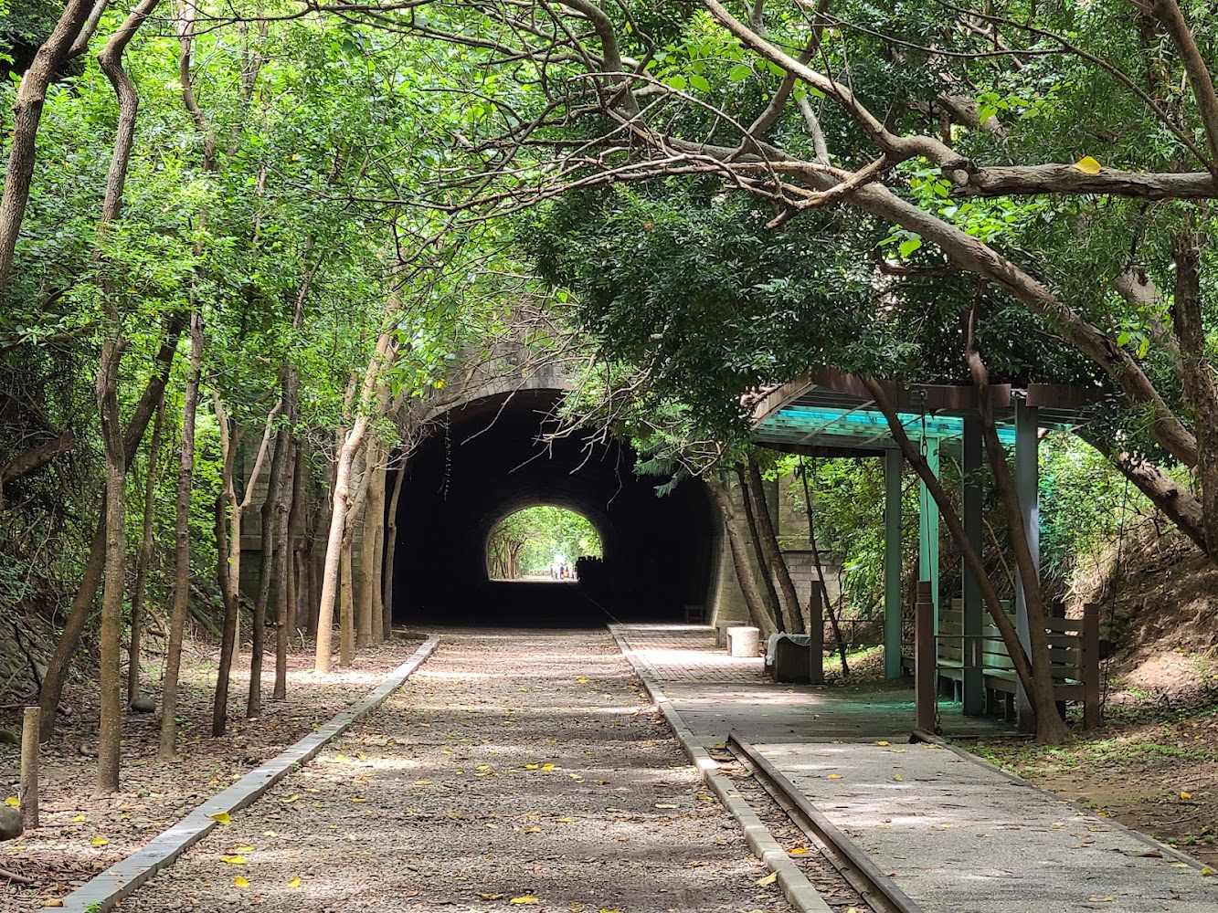苗栗景點必去推薦｜你絕對不能錯過的迷人景點