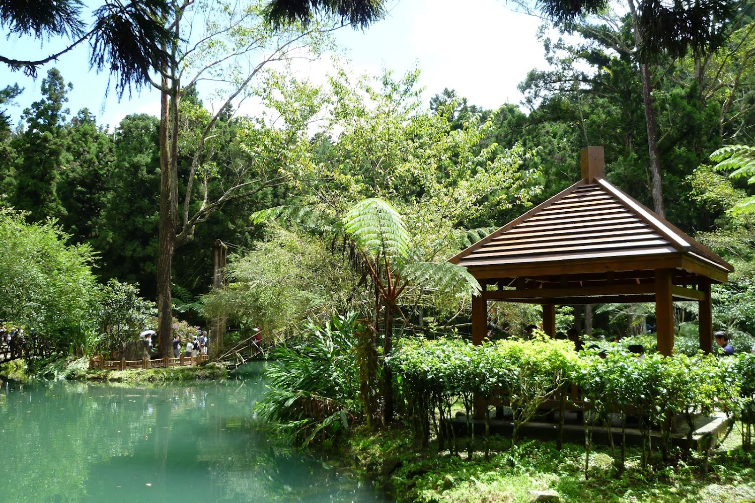 溪頭國家森林遊樂區