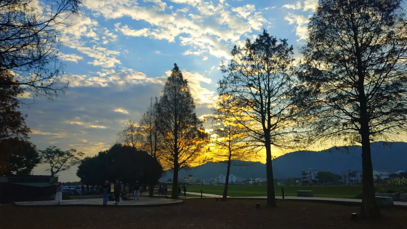 安農溪落羽松最佳拍攝時間