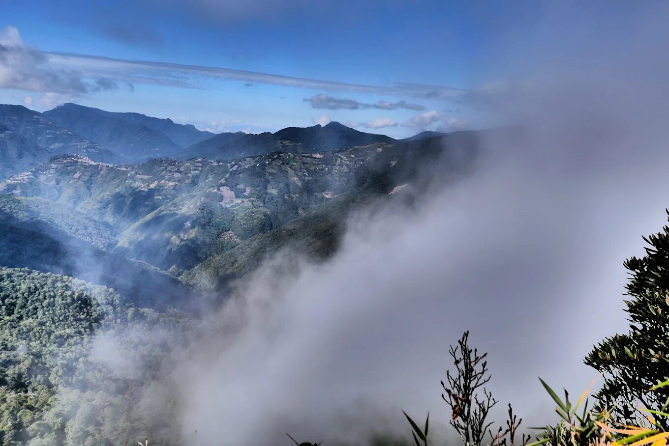宜蘭免費景點：太平山和明池徒步旅行指南，探索自然魅力