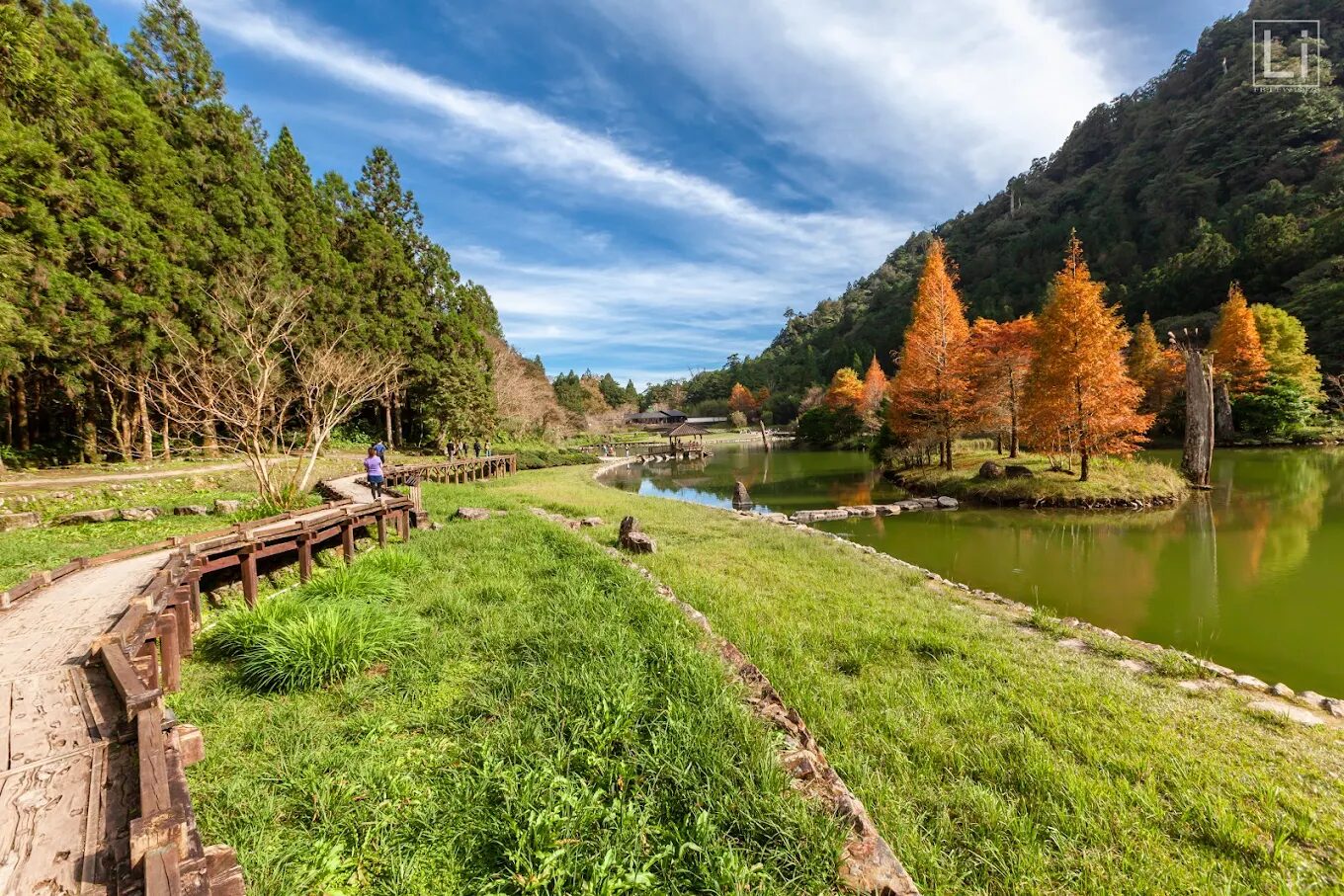 宜蘭免費景點：太平山和明池徒步旅行指南，探索自然魅力