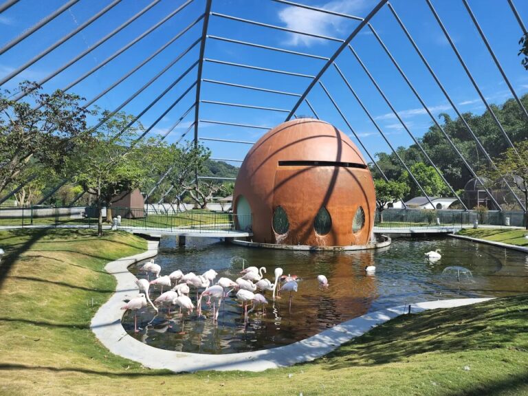 九九峰動物樂園必看攻略，景點推介