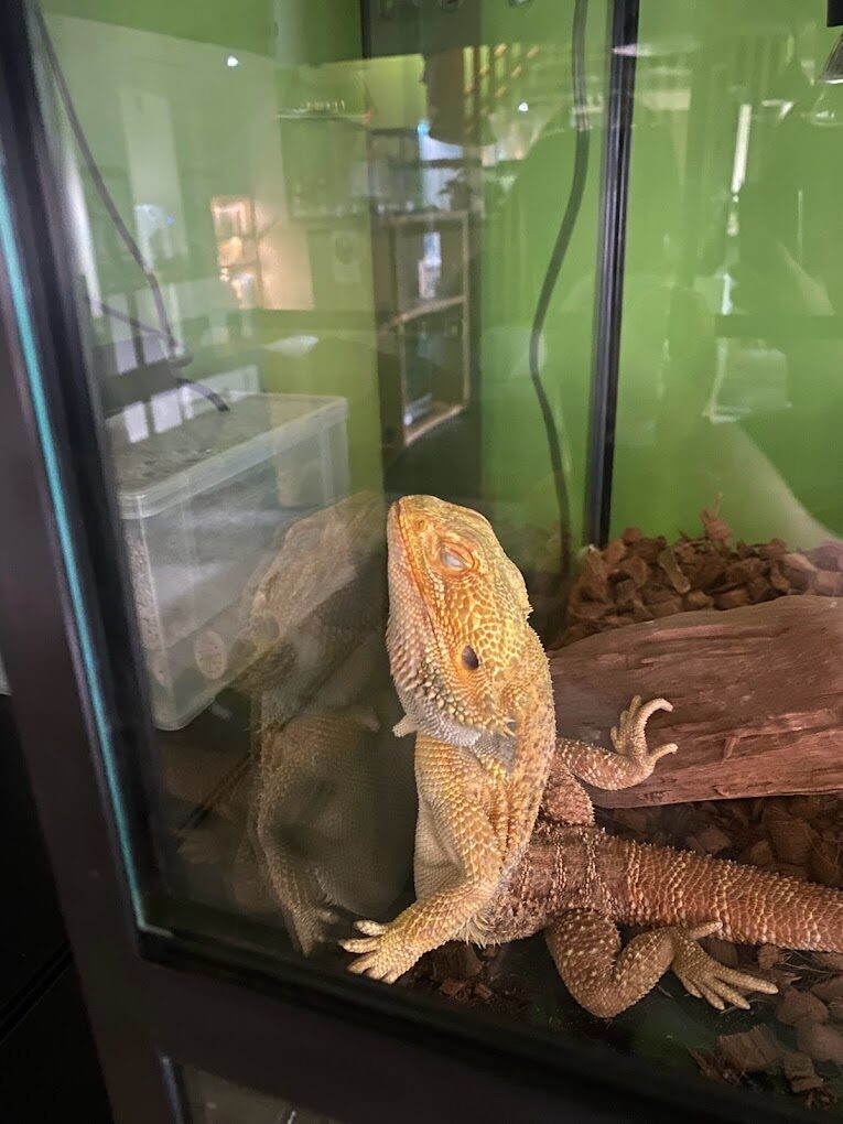 台北最好玩的室內親子景點大推薦