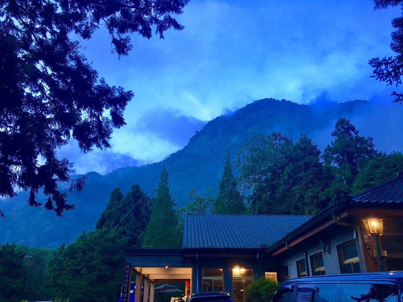 溪頭露營區的生態露營指南：探索自然之美