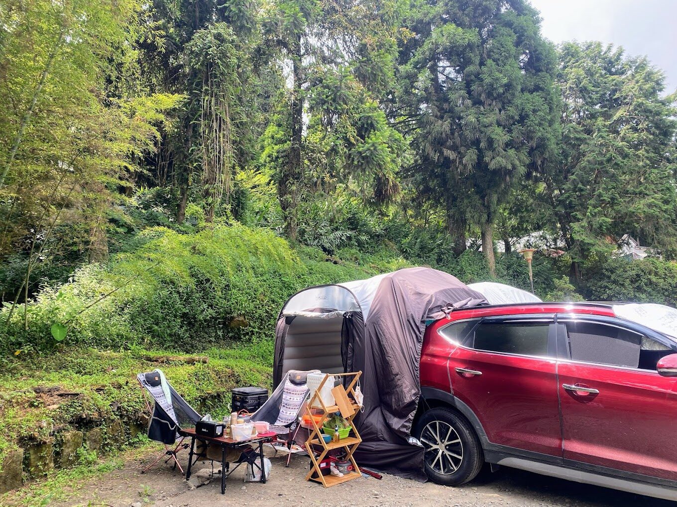 溪頭露營區的生態露營指南：探索自然之美