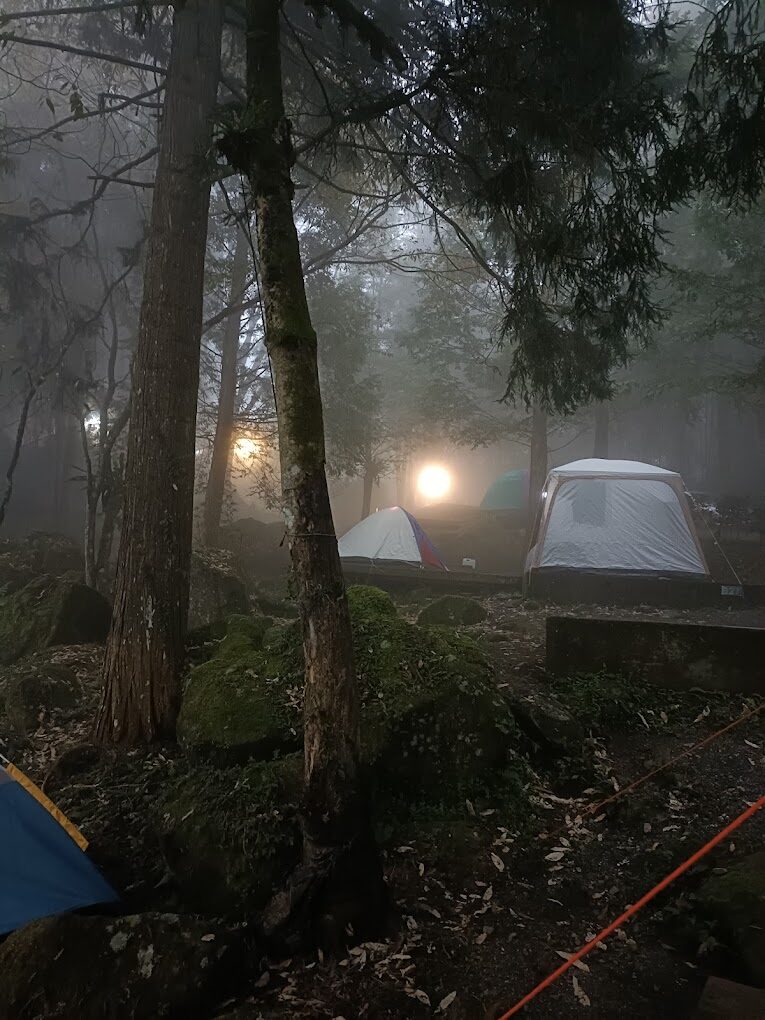 溪頭露營區的生態露營指南：探索自然之美