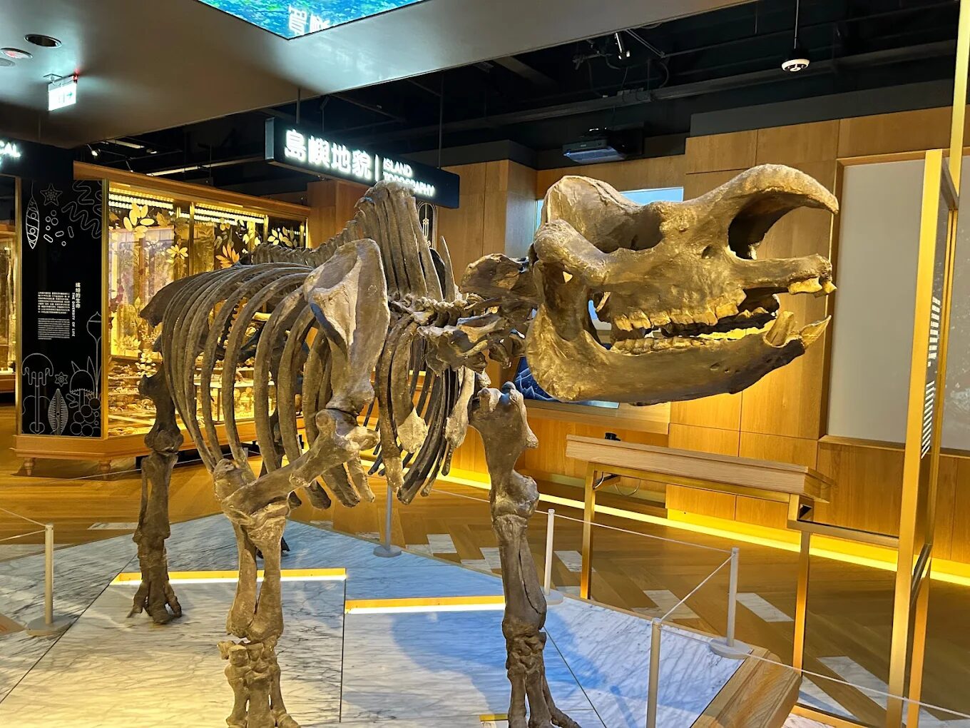 台北最好玩的室內親子景點大推薦