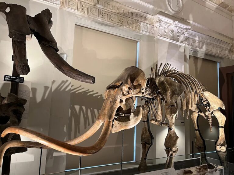 台北最好玩的室內親子景點大推薦