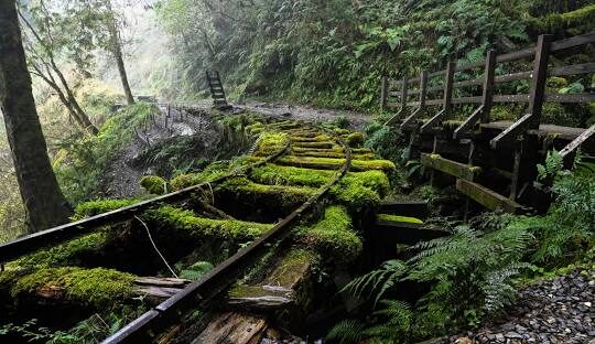 探索宜蘭景點：太平山國家森林遊樂區的最佳步道