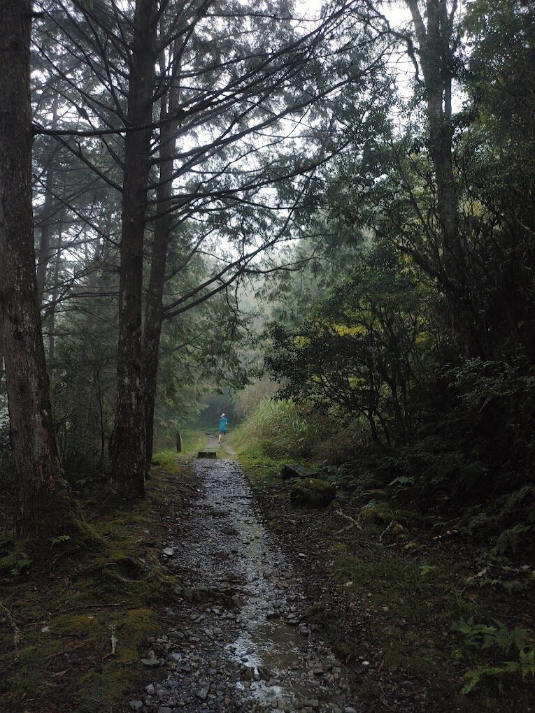 探索宜蘭景點：太平山國家森林遊樂區的最佳步道