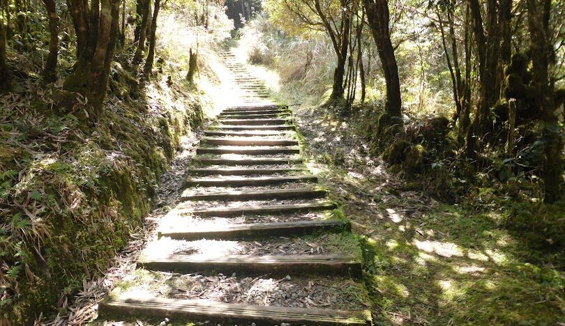 探索宜蘭景點：太平山國家森林遊樂區的最佳步道