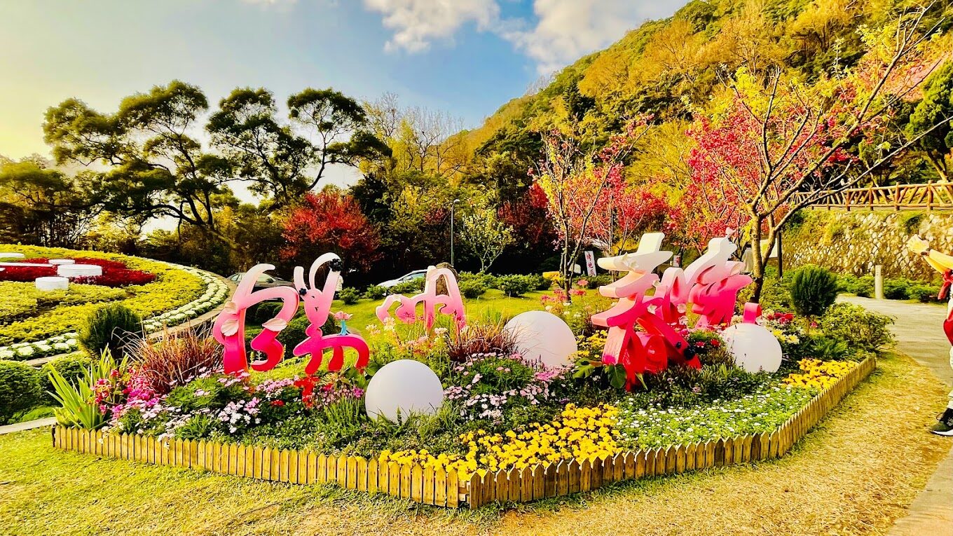 陽明山花季：櫻花盛開時間和最佳賞花地點