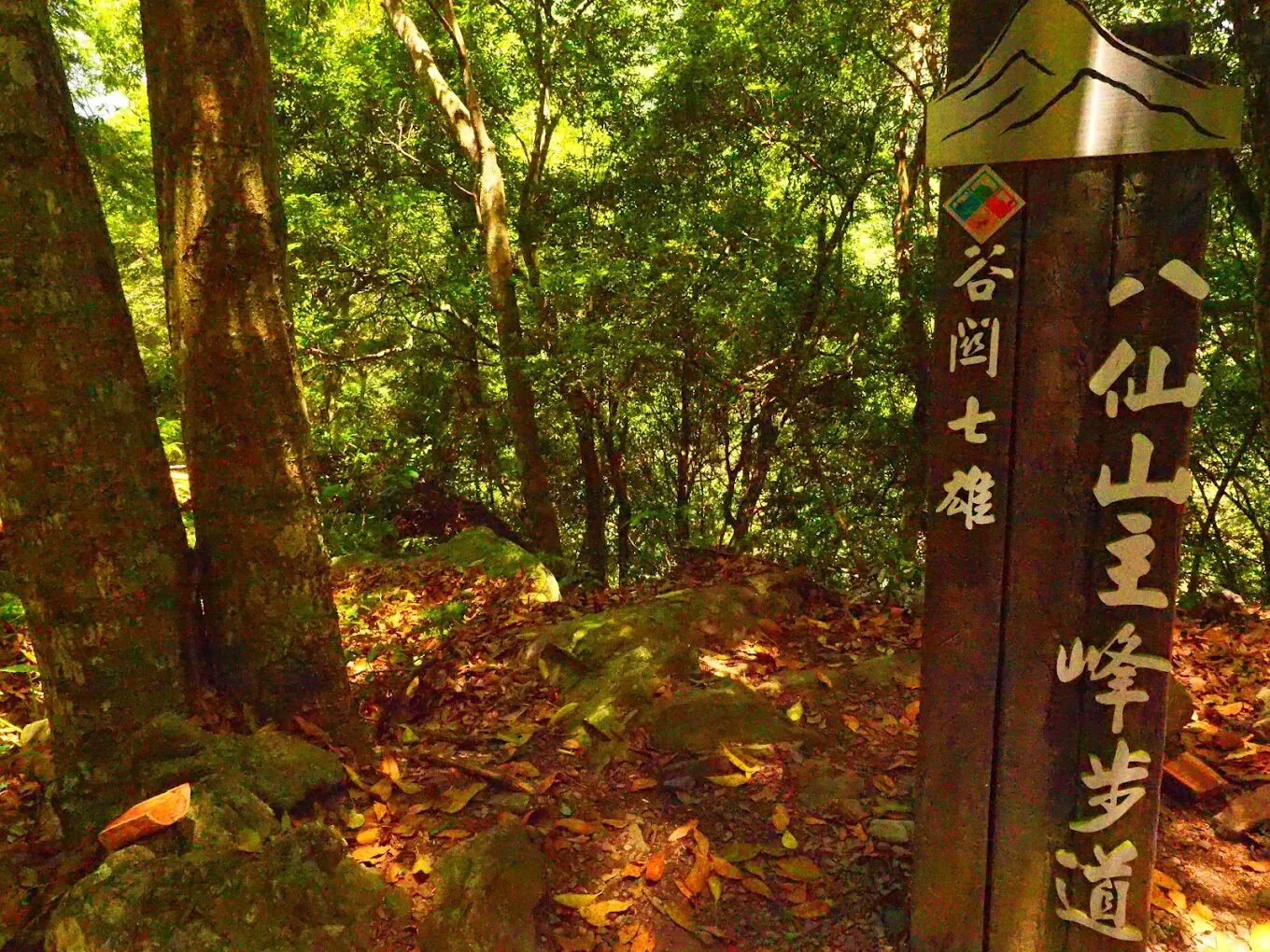 谷關七雄絕美景點:不可錯過的自然秘境