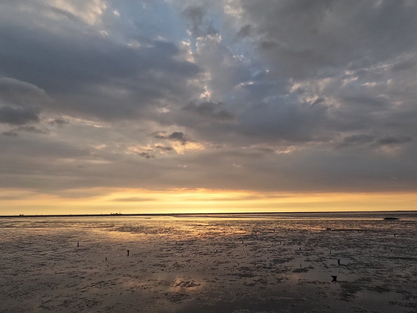 新竹青青草原旅遊攻略：發現隱藏的自然瑰寶