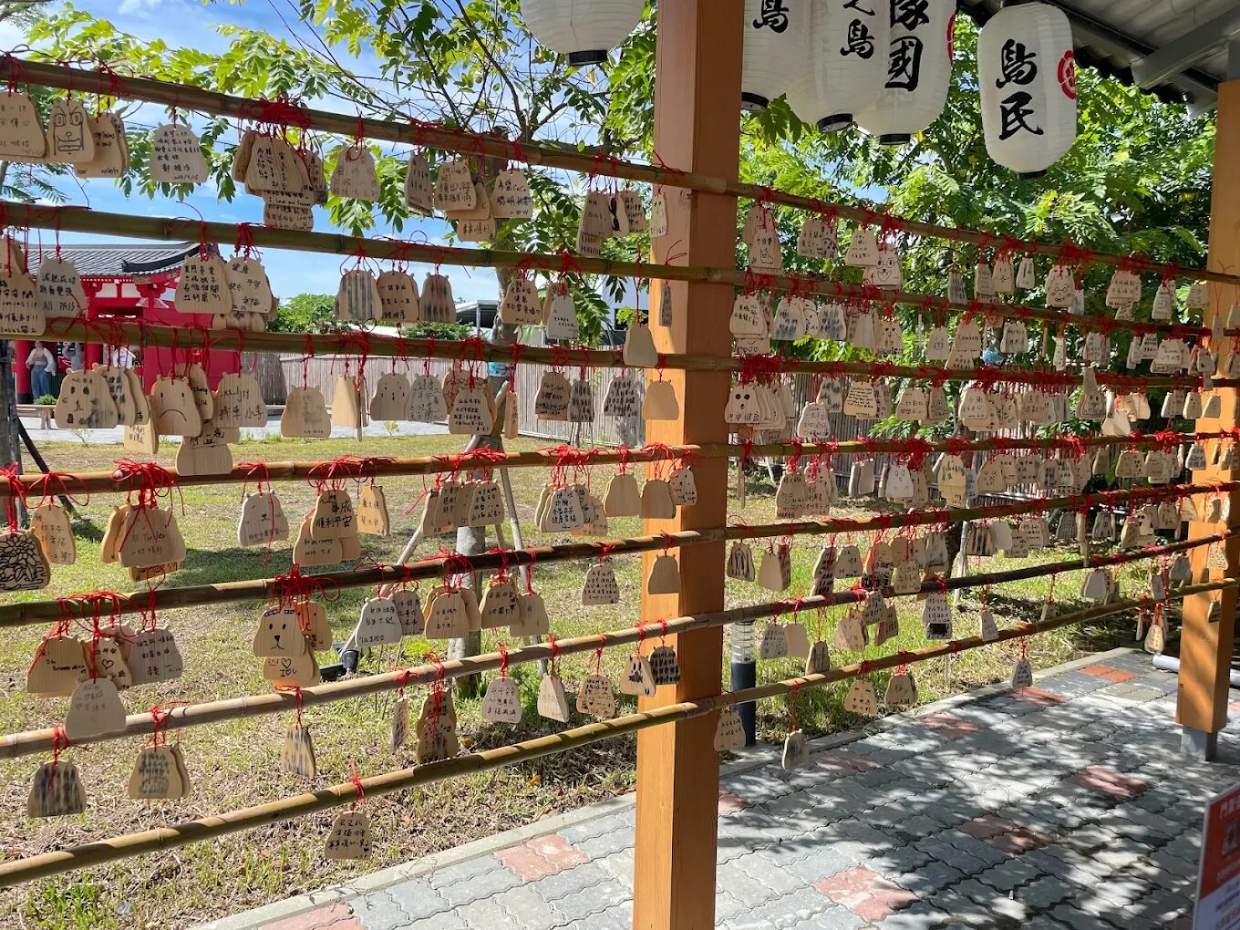 墾丁鹿ㄦ島水豚生態園區評論：水豚互動體驗的完全指南