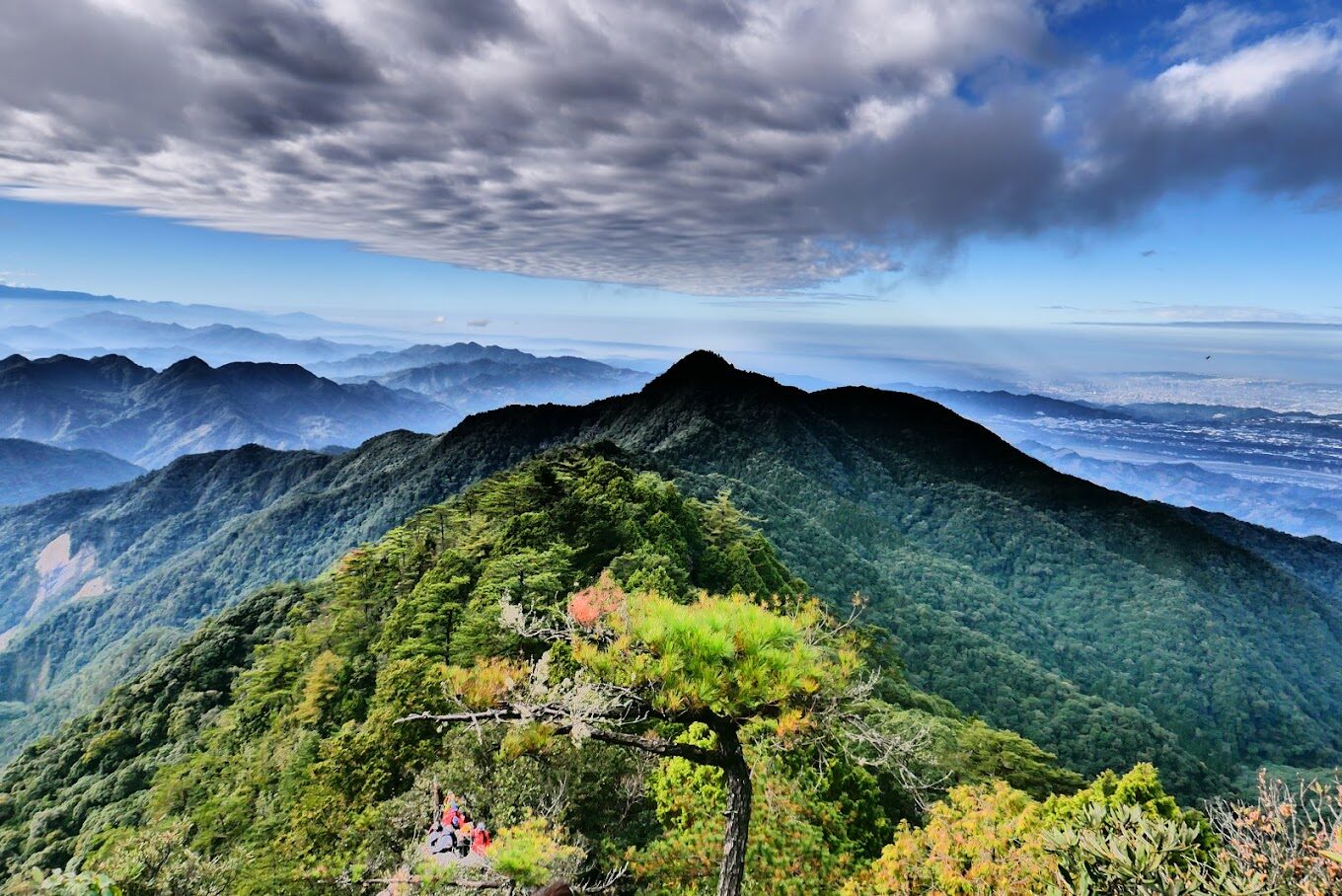 烏來旅晨溫泉民宿旅遊攻略：必訪景點與秘境探索