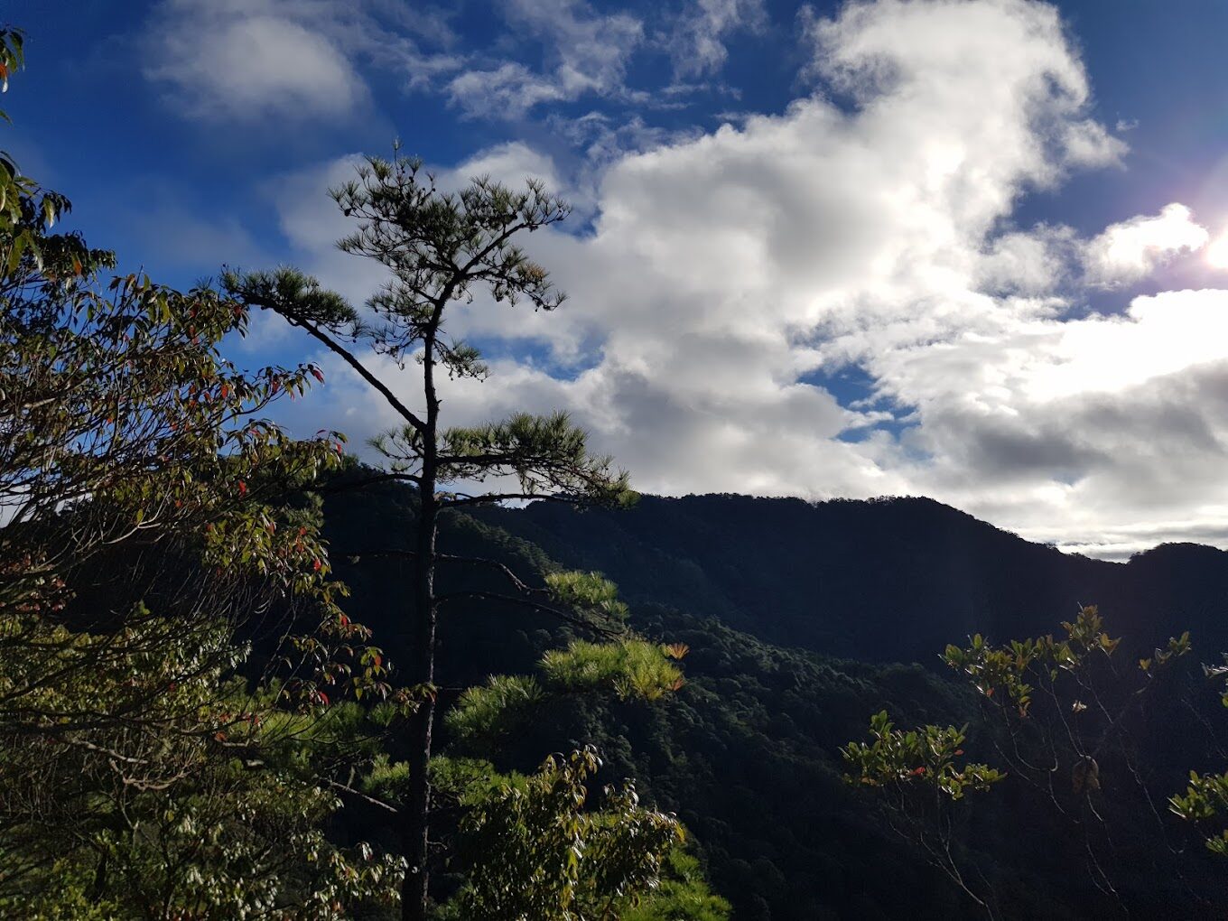 烏來旅晨溫泉民宿旅遊攻略：必訪景點與秘境探索