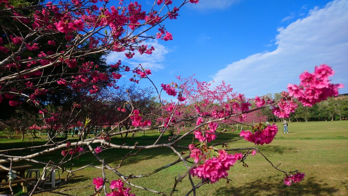 埔里的天氣：四季天氣指南與最佳造訪時機