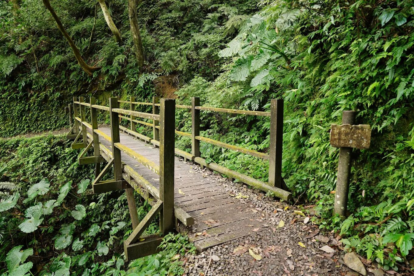 宜蘭一日遊：自然與放鬆體驗之礁溪溫泉一日遊