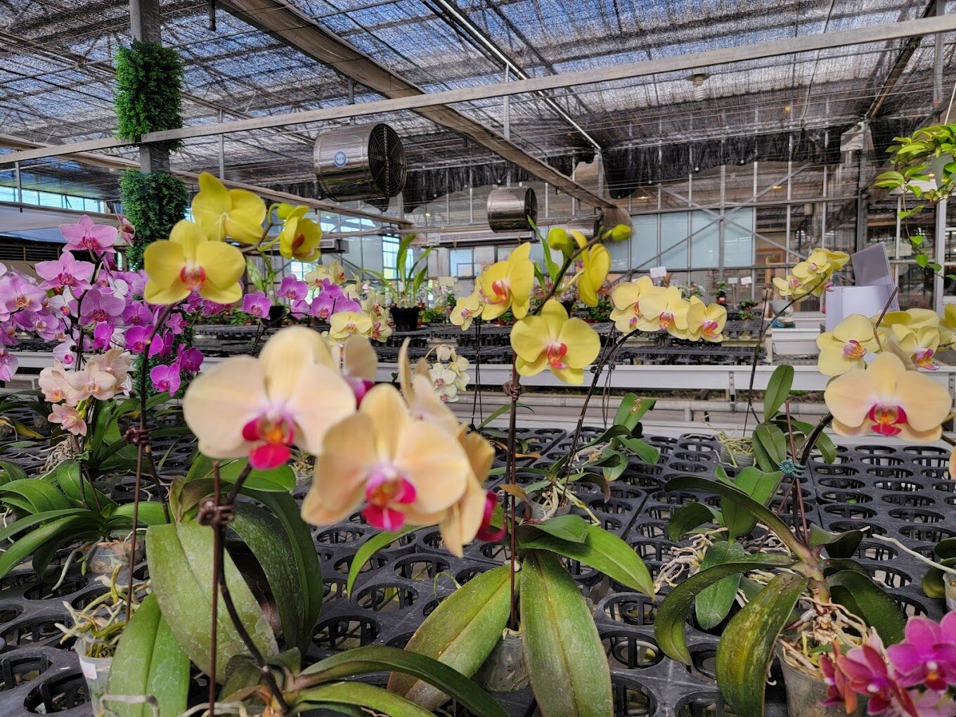 宜蘭一日遊：自然與放鬆體驗之礁溪溫泉一日遊