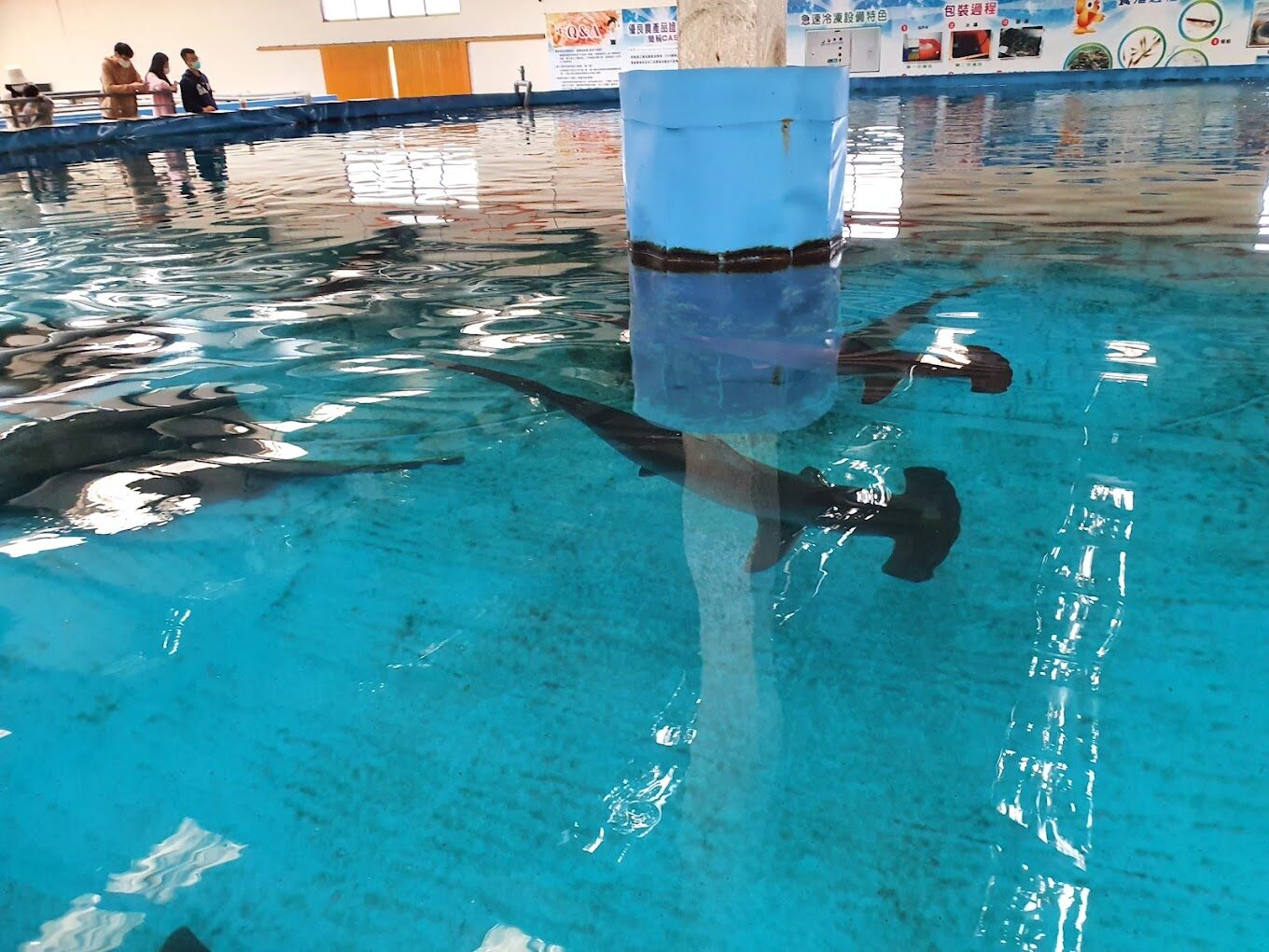 宜蘭一日遊：自然與放鬆體驗之礁溪溫泉一日遊