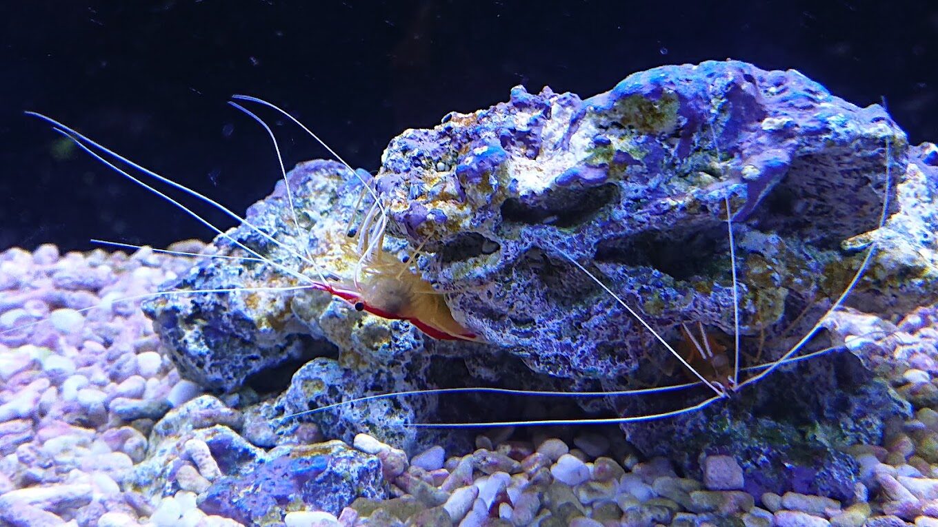 宜蘭一日遊：自然與放鬆體驗之礁溪溫泉一日遊