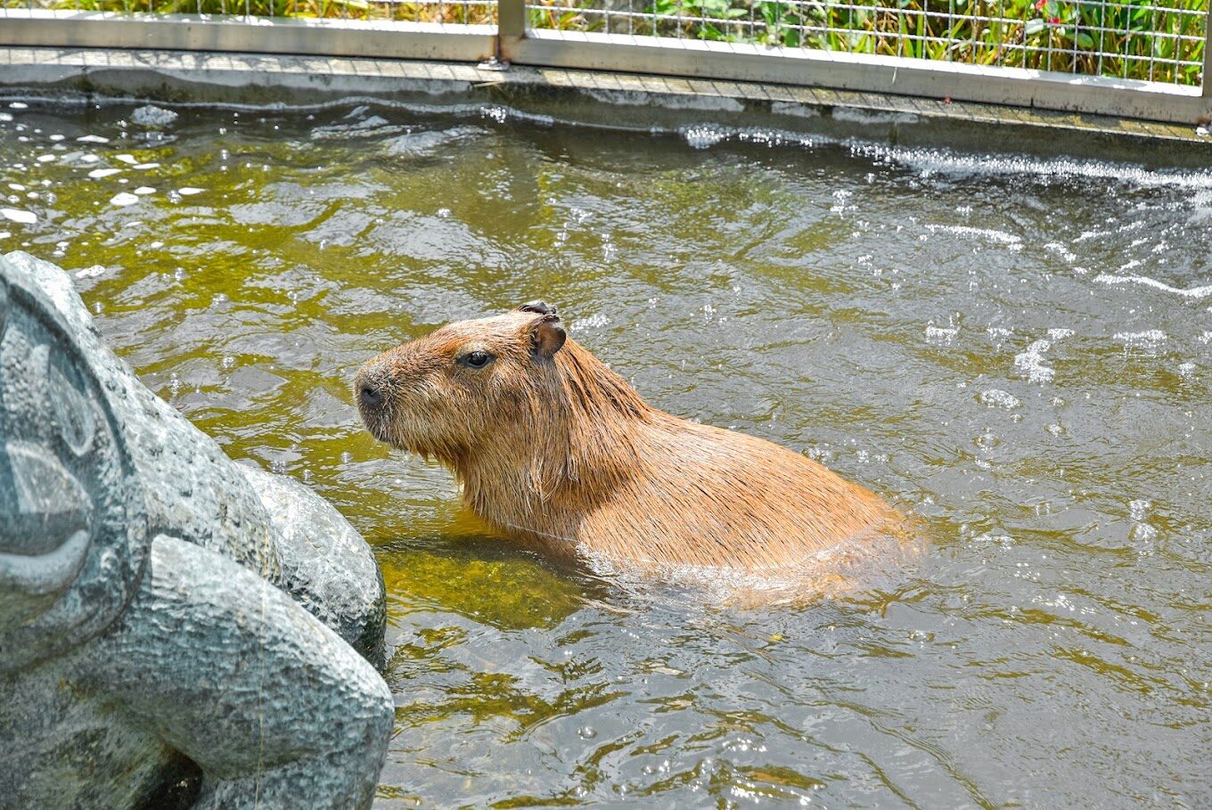 桃園新景點:桃園親子樂園最佳選擇