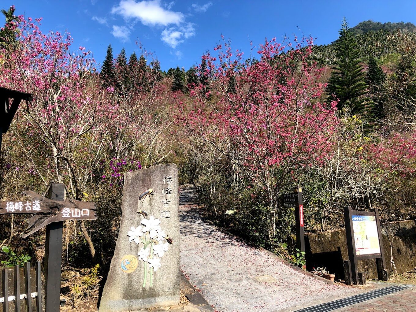 梅嶺風景區四季風光大揭密：抓住最佳旅行時間