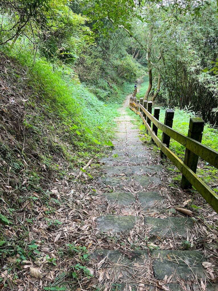 梅嶺風景區四季風光大揭密：抓住最佳旅行時間