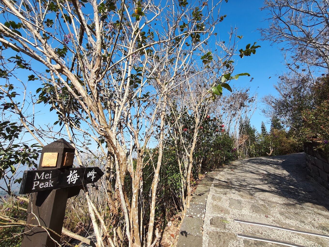 梅嶺風景區四季風光大揭密：抓住最佳旅行時間