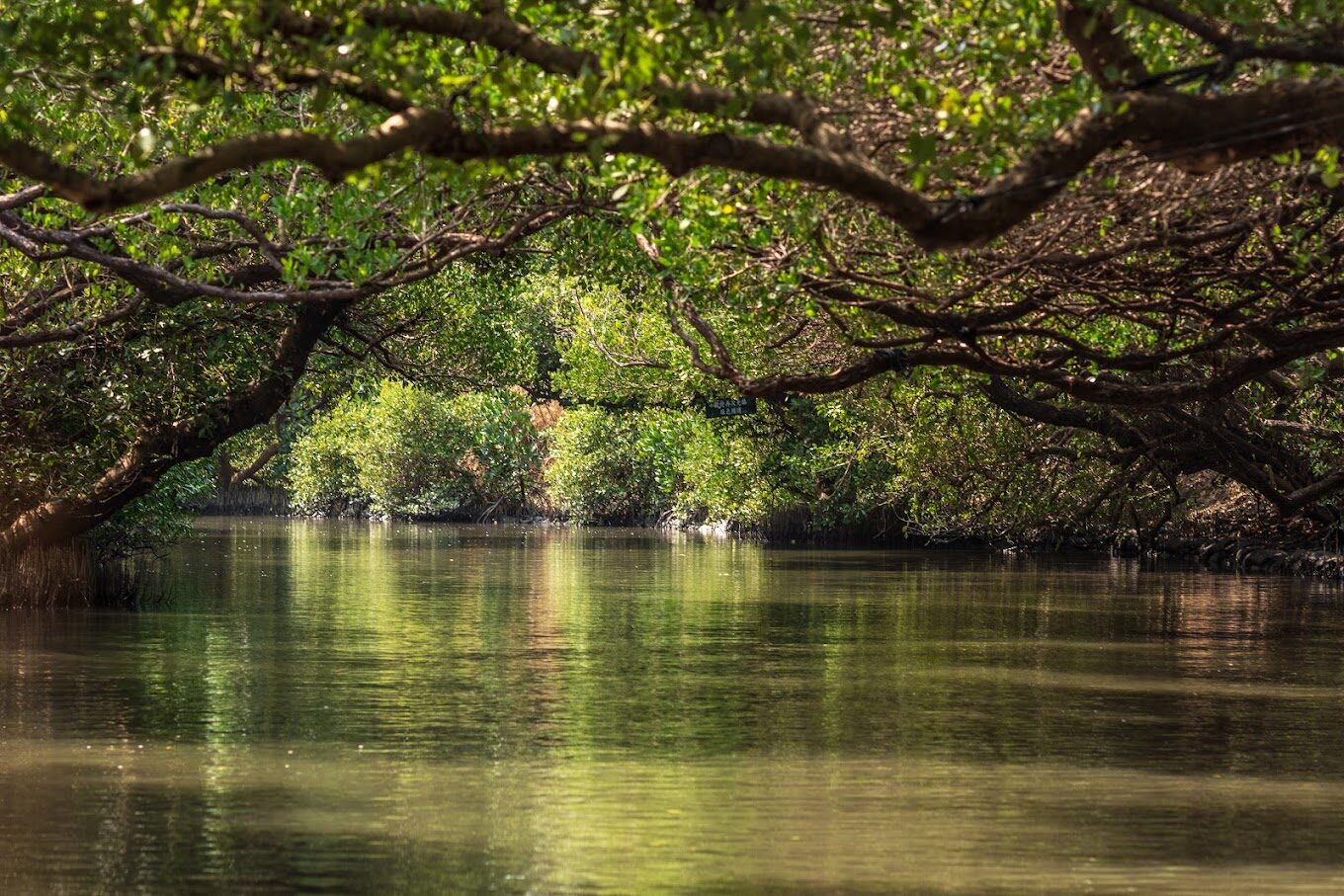 南部景點：南部必訪的壯麗自然景點