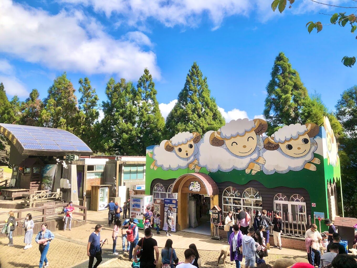 必訪南投景點：日月潭和清境農場的玩樂指南