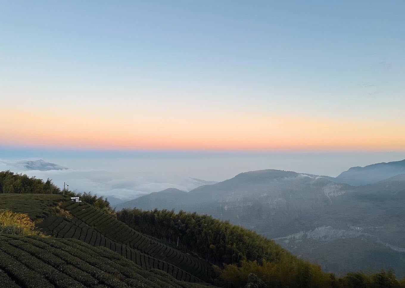 阿里山日出：最佳觀賞時間和地點指南