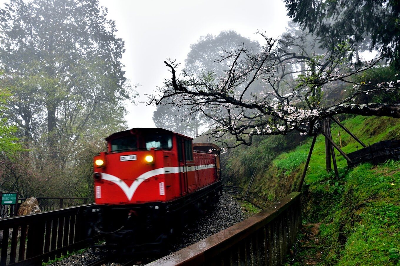 阿里山小火車歷史：深入了解台灣珍貴的鐵路歷史