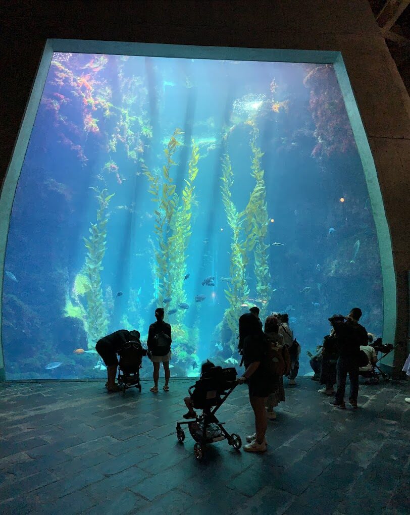 屏東景點：探索屏東海生館特色展覽