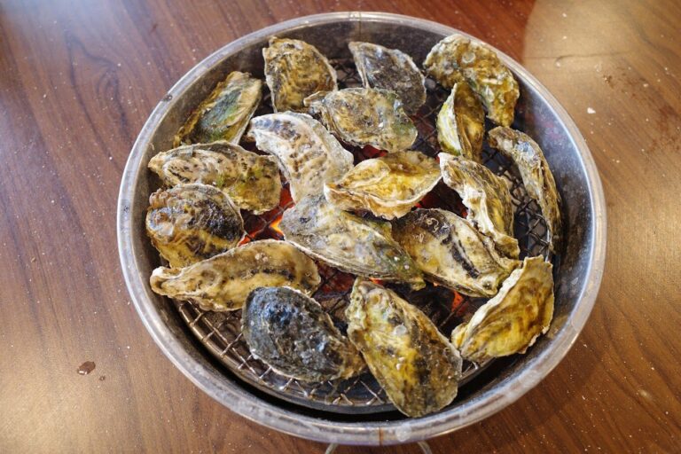 東石烤蚵吃到飽的地道體驗:當地特色與旅遊亮點