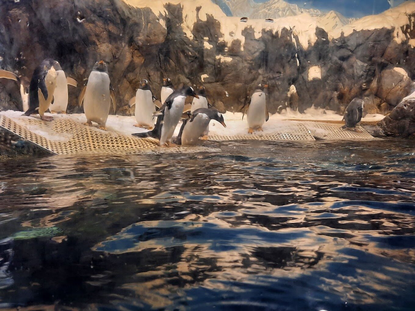 屏東景點：探索屏東海生館特色展覽