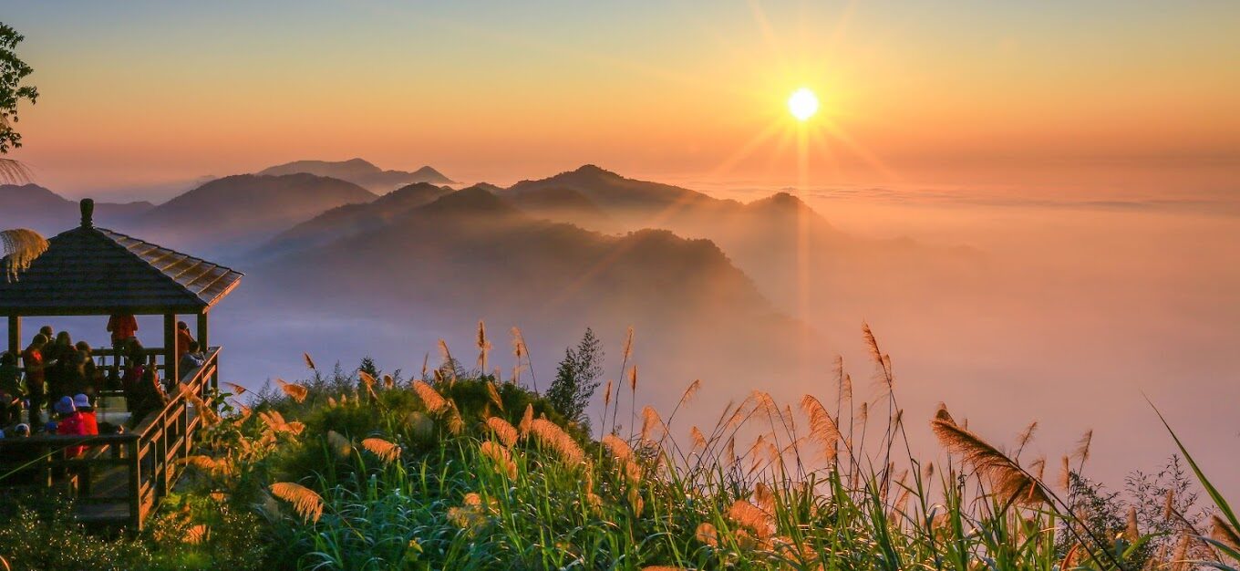 阿里山住宿特色民宿推薦：尋找自然與文化的絢麗交融