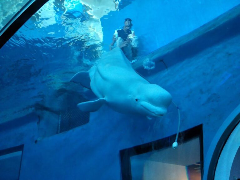 屏東景點：探索屏東海生館特色展覽