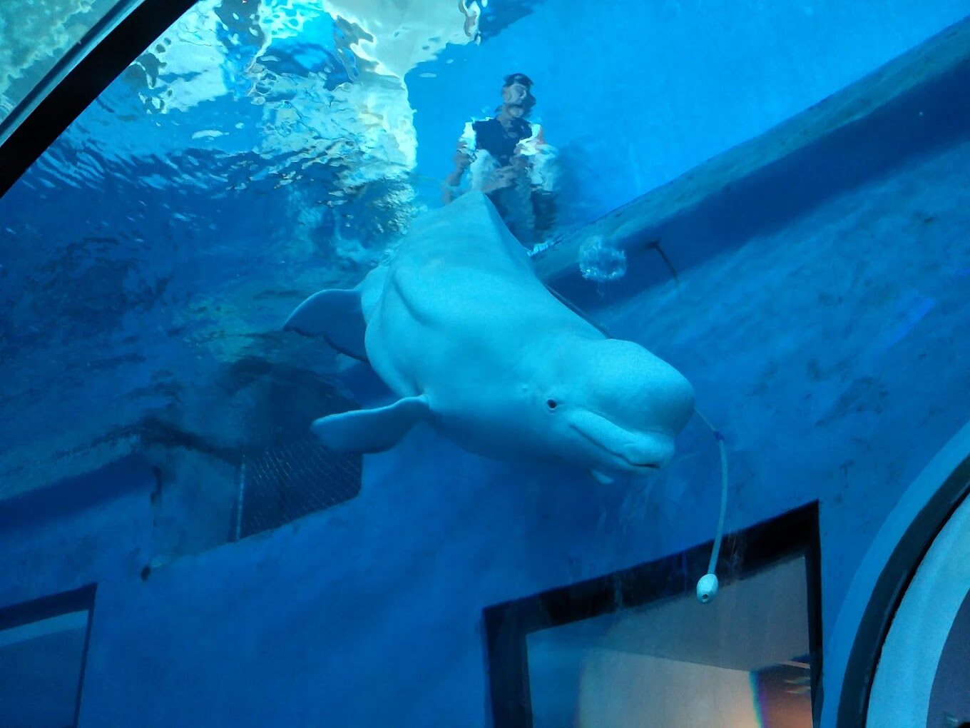 屏東景點：探索屏東海生館特色展覽