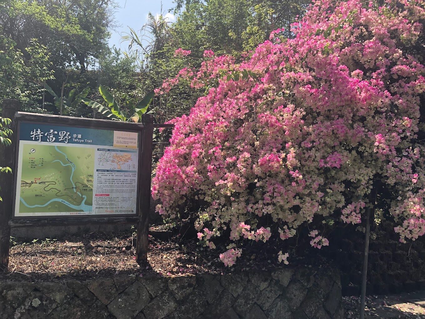 特富野古道自然美景最佳觀賞季節