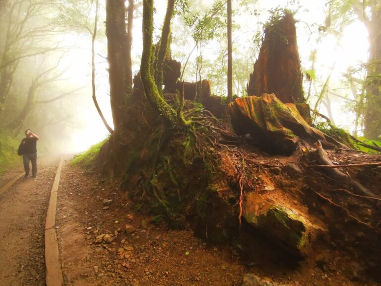 特富野古道自然美景最佳觀賞季節