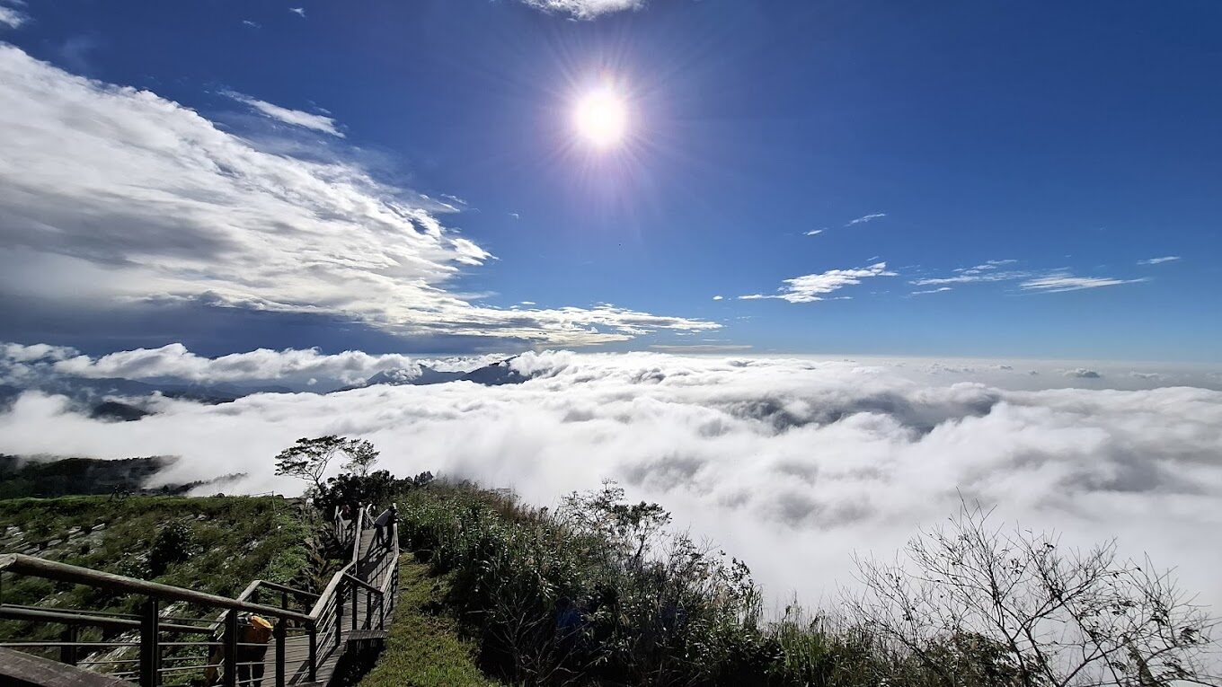 阿里山森林鐵路旅遊指南｜必知秘訣讓你的旅程更完美