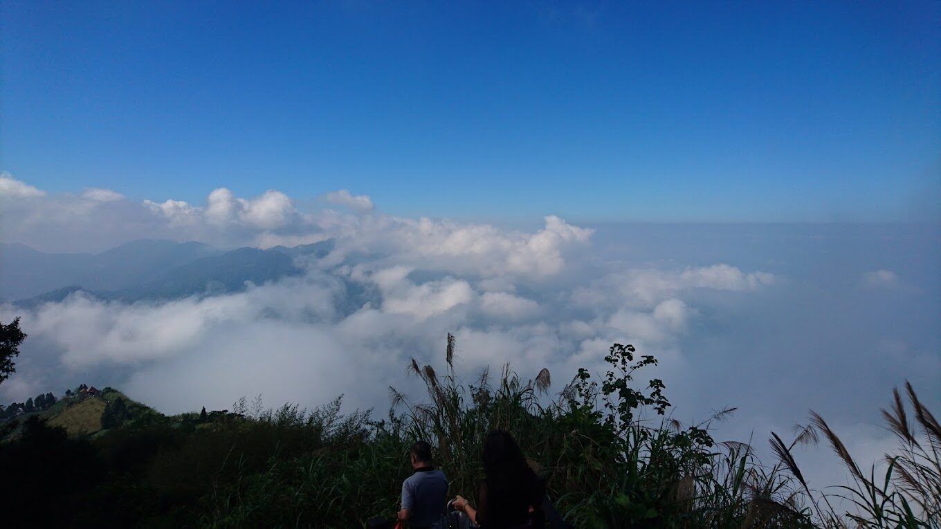 阿里山森林鐵路旅遊指南｜必知秘訣讓你的旅程更完美