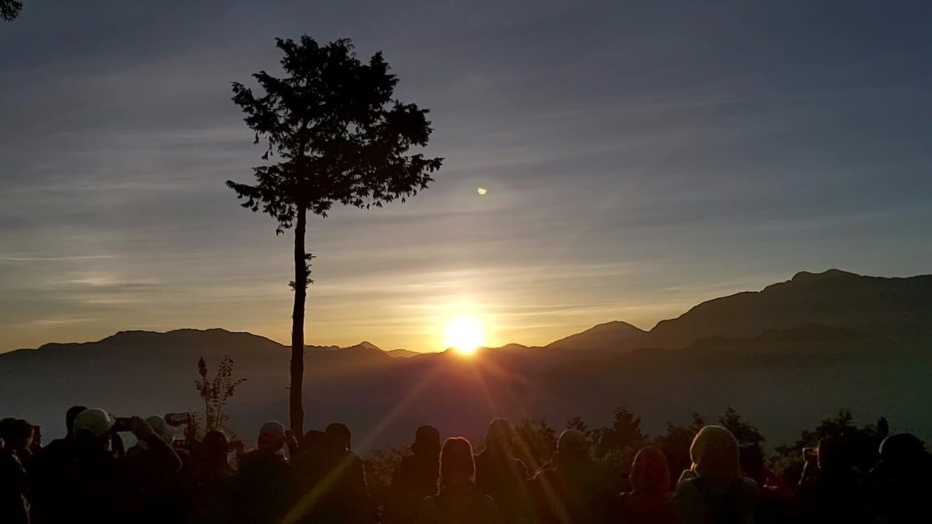 阿里山森林鐵路旅遊指南｜必知秘訣讓你的旅程更完美
