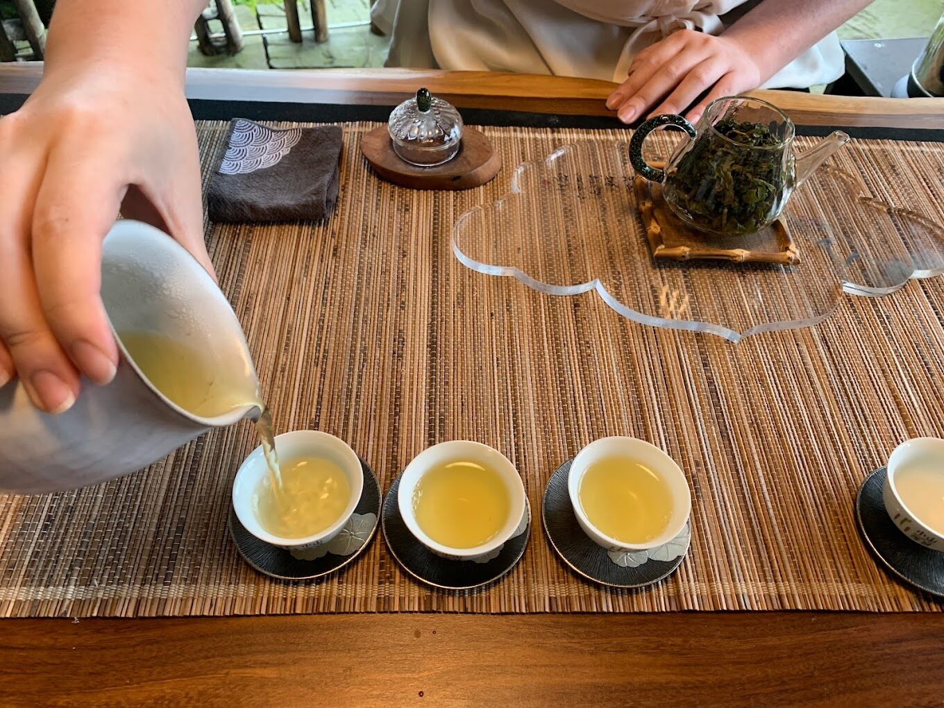 阿里山森林鐵路旅遊指南｜必知秘訣讓你的旅程更完美