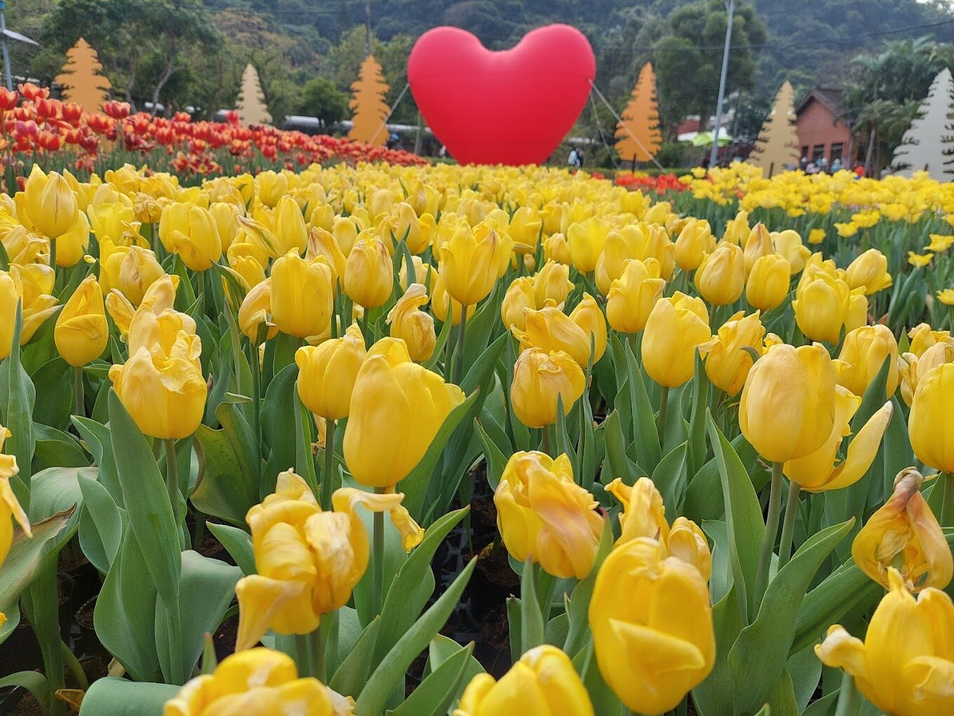 情侶台北半日遊：台北半日情侶約會行程推薦，浪漫與美食的完美結合
