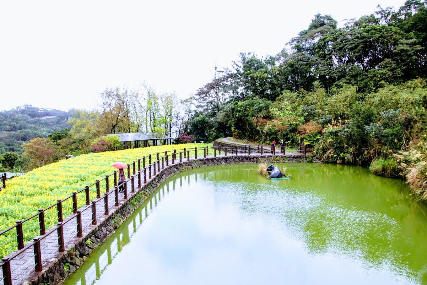 【2025】貓空纜車旅遊指南:避免錯過的5大必遊景點