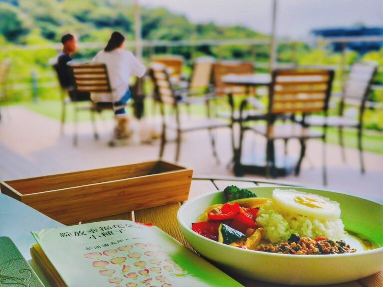 【2025】貓空纜車旅遊指南：避免錯過的5大必遊景點