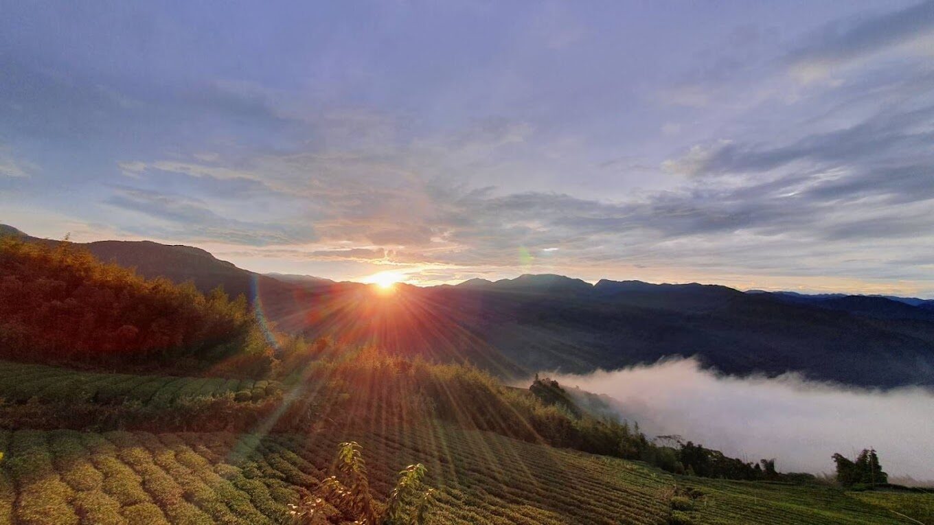 阿里山森林遊樂區必玩活動推薦｜2025年最新景點揭曉